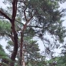 망양리 대게공원 이미지