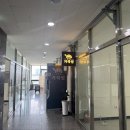 거북섬프라자 | [경기 시흥] 거북성 거북섬중국집 내돈내산 후기