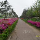 이마트약국 이미지