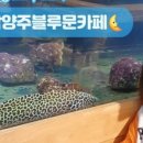 나씽베러 네이버블로그