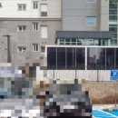 럭키농원 이미지