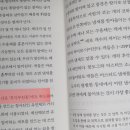 라이온 북스