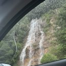 김밥천국이동점 이미지