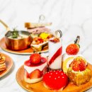 티리조트1 이미지