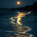 동해시-46 이미지