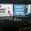 핏유엘