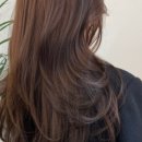 다옴헤어 이미지