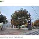 수육서비스 기본으로 나오는 순대국 골목 이미지