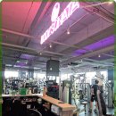 바디소나타 이미지