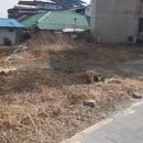 대지부동산중개인사무소 이미지