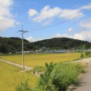 신사리 선돌 이미지