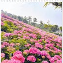 신안센터-6 이미지