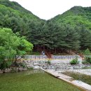 선바위자연캠핑장 이미지