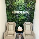 레푸스미아 이미지