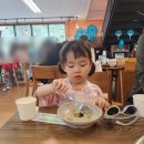 본가중앙탑막국수 - 충주시 금봉대로 621 | 충주 라바랜드 근처 식사 추천 본가중앙탑막국수 솔직 후기