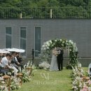 그라운드헤븐플라워