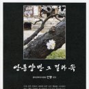 안동양반 이미지