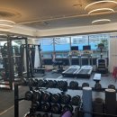 본앤머슬 이미지