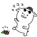 댕댕이 머리방 이미지