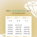 다이아에스테틱 이미지