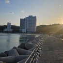 모자이크 어거스트 이미지