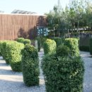 당쟁이로 이미지