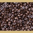 지우농원 이미지