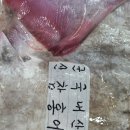 군산수산물종합센터 이미지