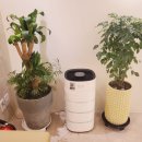 아이행복가정의학과의원 이미지