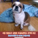 우신초등학교 이미지
