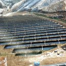 성환태양광발전소 이미지