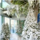 로데오로(1) 이미지