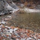 주왕산공원 관리사무소 이미지