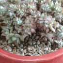 동운가든 이미지