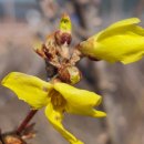 동음전자 이미지