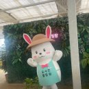 오늘도만족