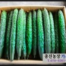 종진농장 이미지