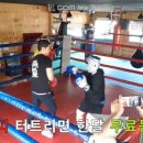 맥스복싱짐 이미지