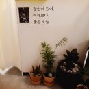 마카롱삼츈