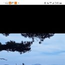 바위솔펜션 이미지