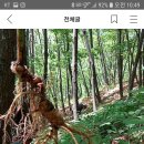 중국희귀약초 약초본부 카페 이미지