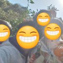 완수농장 | 애메모호 2월 제주도 가족여행! 아이와 귤따기 성공 &amp; 실속 제주여행 솔직후기