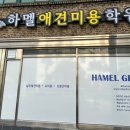 하멜애견미용학원