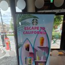 스타벅스 대전용문DT점 이미지