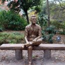 레저토피아지오랜드 | 태안 가볼만한곳 안면도 나문재 천리포수목원