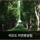 월드도장 이미지