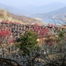 매화랜드 앞 이미지