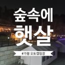 숲속에햇살캠핑장 이미지