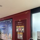 H 동물병원 | 울산 키자니아 GO 현대백화점 팝업 예약 아이랑 가볼만한곳 다녀온 후기