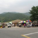 화개식당 Daum카페